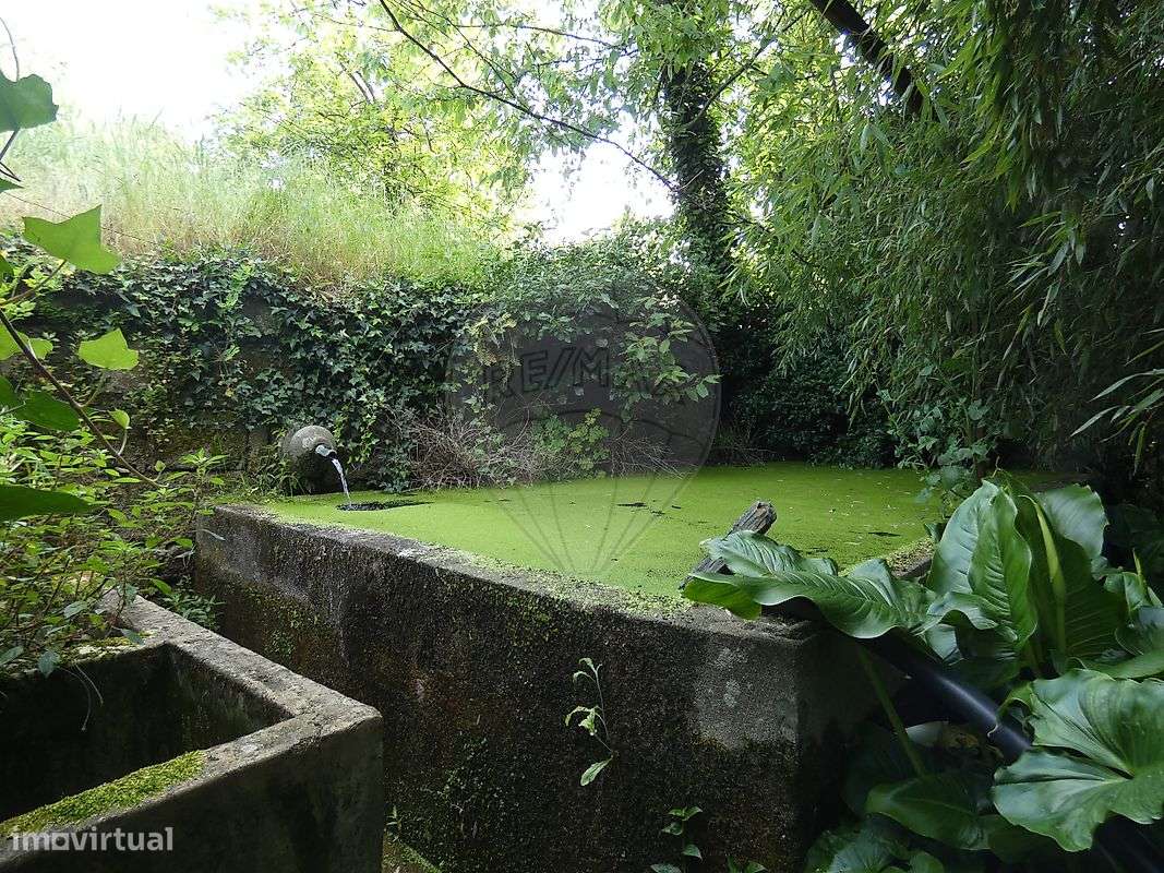 Quinta  para venda - Grande imagem: 5/50