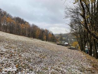 Świeradów Zdrój/Orłowice - działka budowana