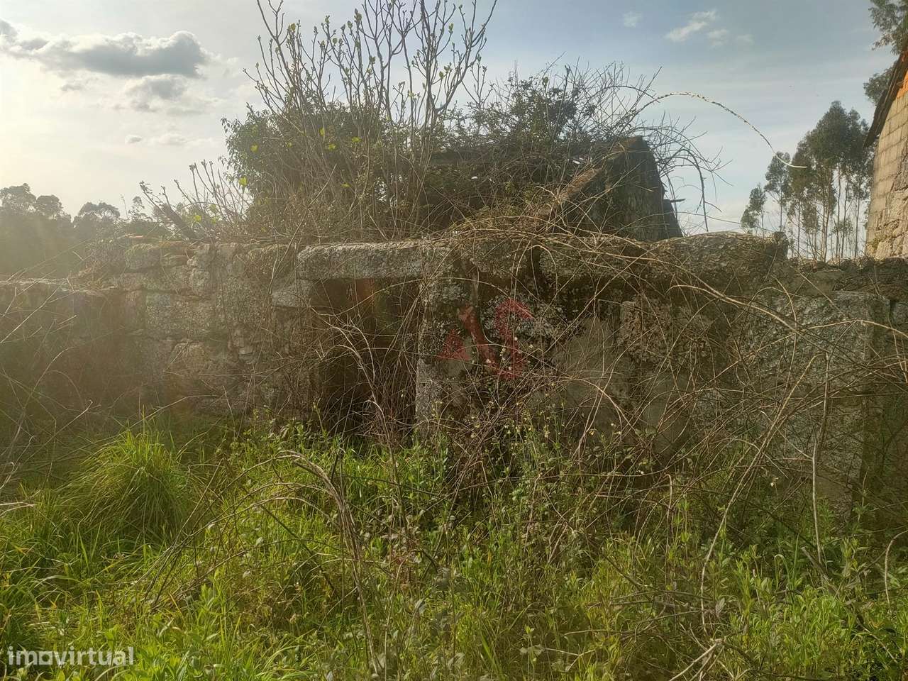 Quinta T4 em Seidões, Fafe - Grande imagem: 4/25