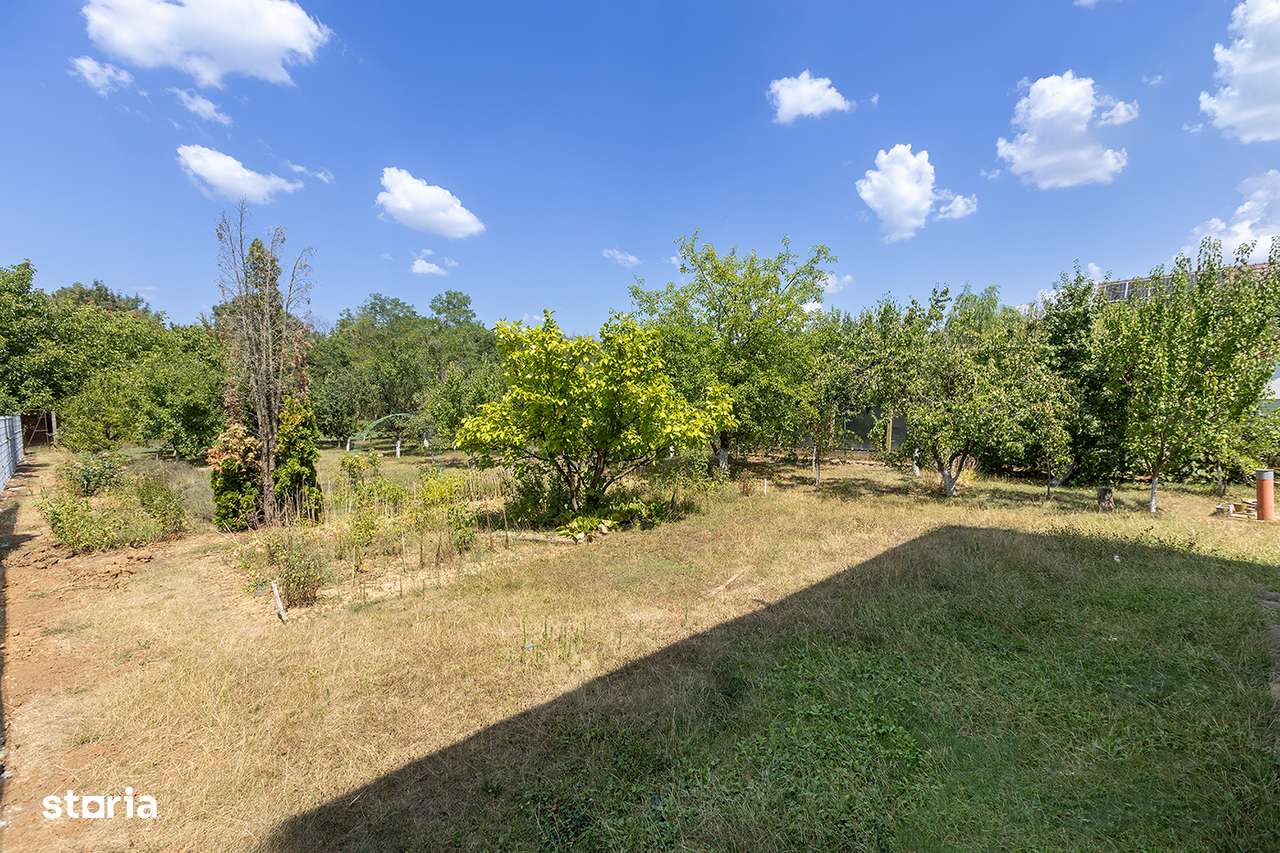 Locație rară: casă între pădure și apă,pentru un proiect de suflet-7