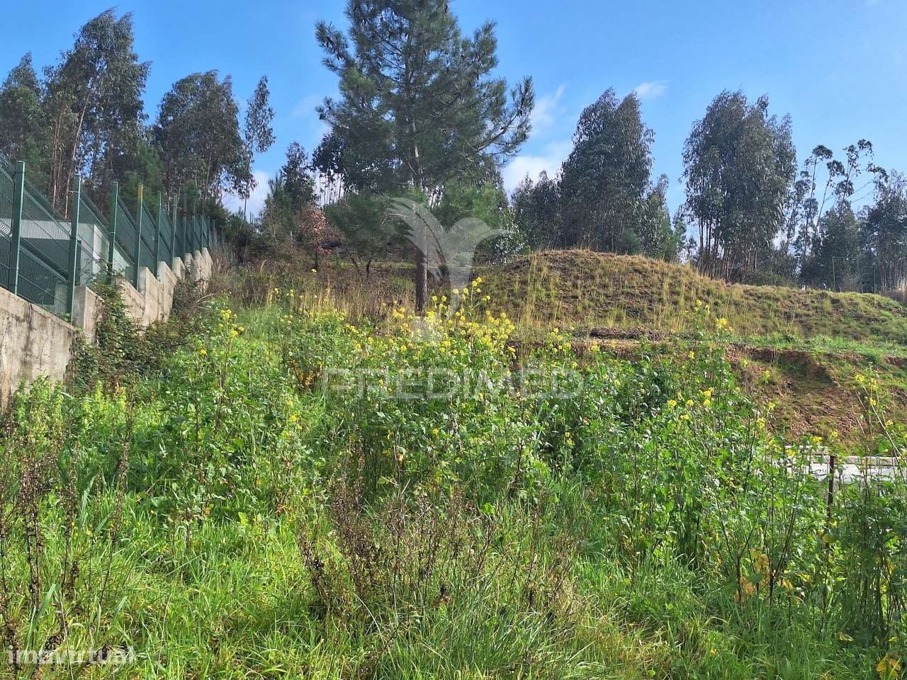Terreno Rústico com parcela urbana, Casal Sentista, Torres Novas - Grande imagem: 3/24
