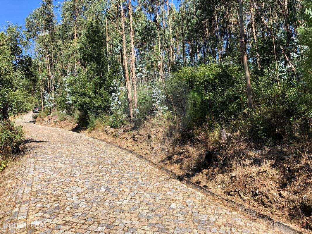 Terreno  para venda - Grande imagem: 2/6