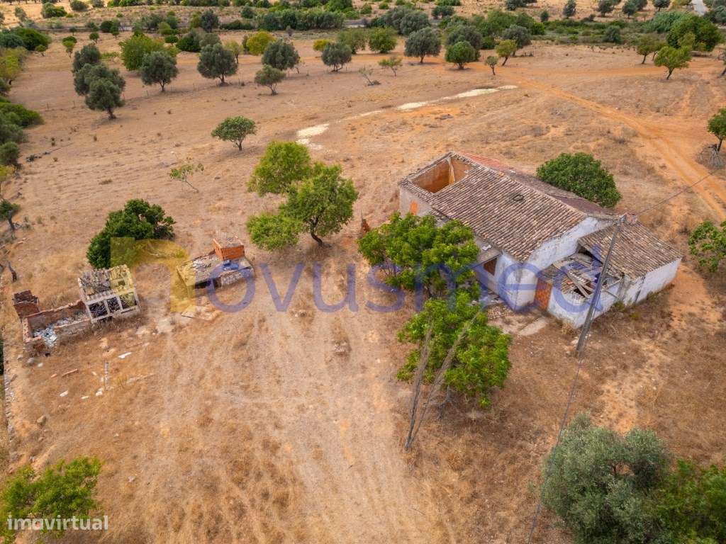 Quinta de 2,1 ha com Potencial para Turismo Rural- Guia Valverde-31