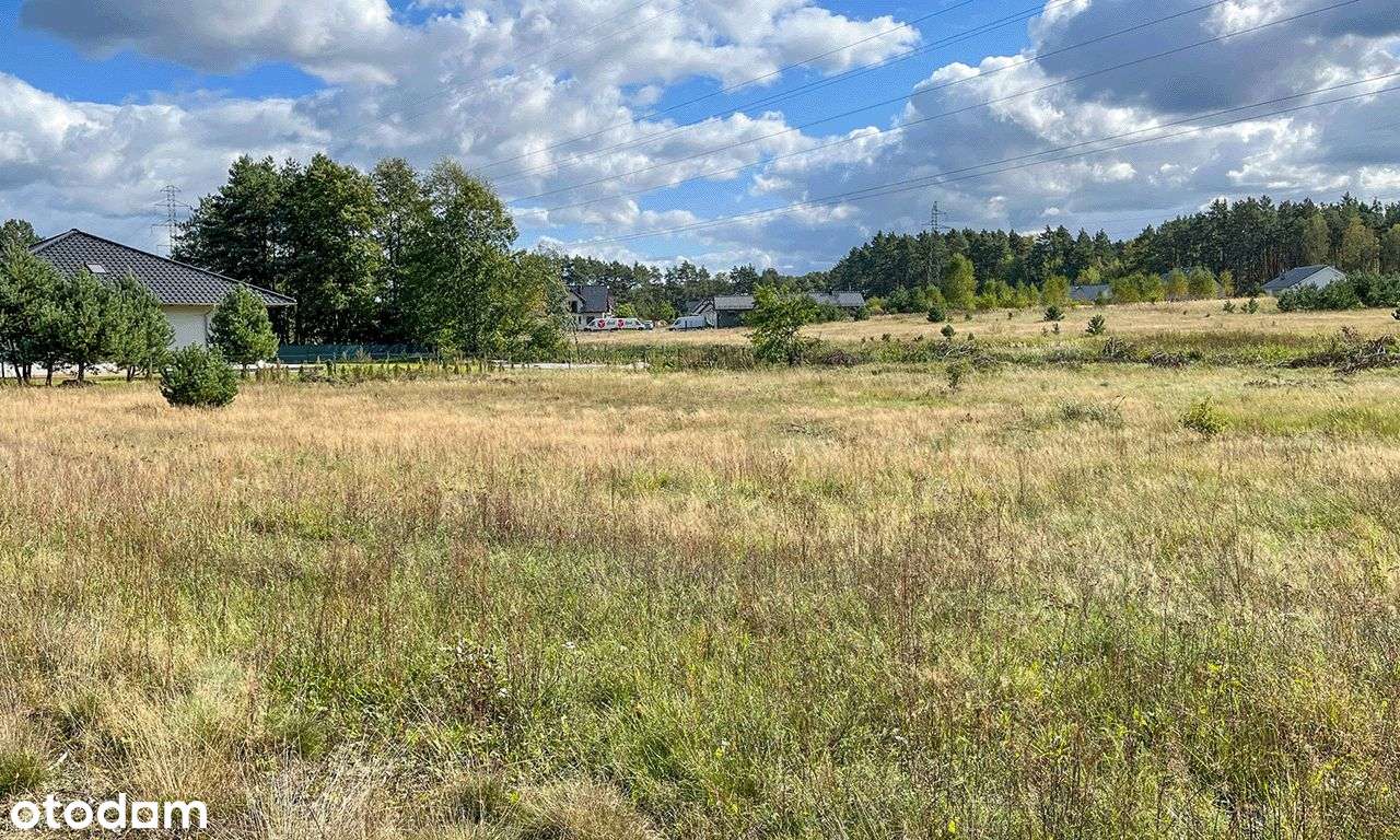 Działka budowlana plus rekreacyjna, w Płotach gwarancja prywatności. - Pełny obrazek: 4/14