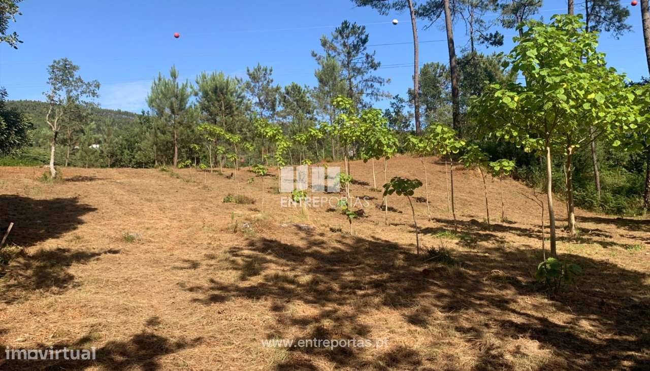 Terreno para venda, Orbacém, Caminha - Grande imagem: 4/9