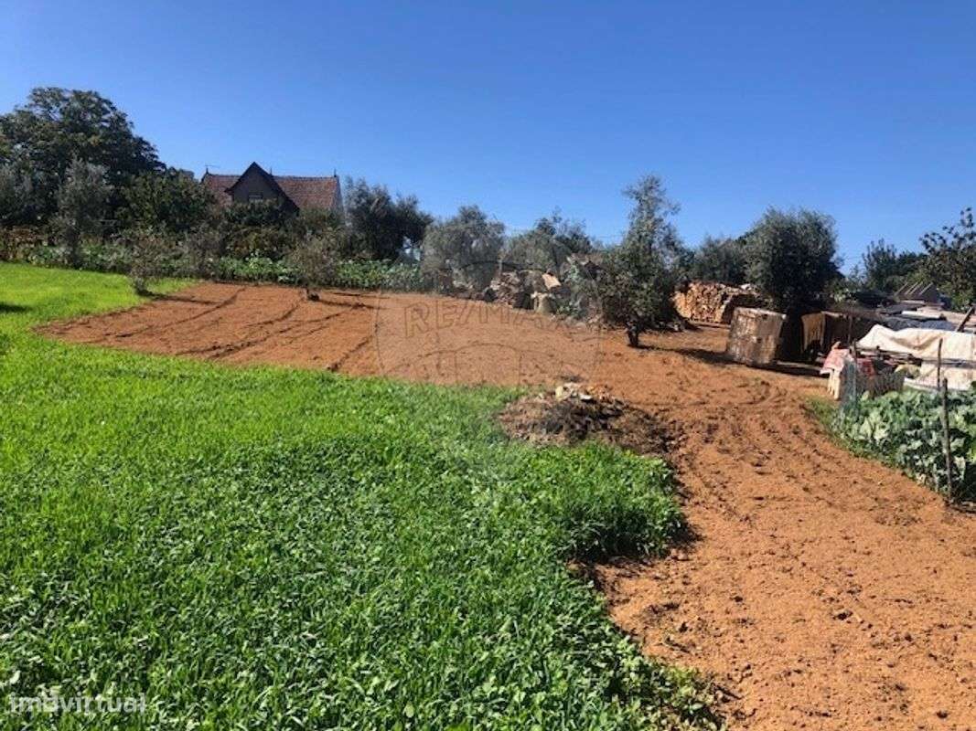 Terreno  para venda - Grande imagem: 4/4