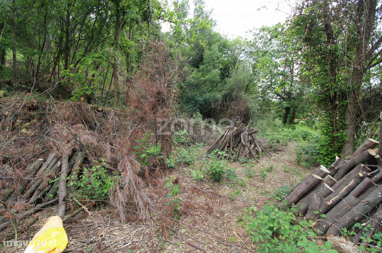 Moradia em Ruinas para recuperar em Rebordões (Souto)-Ponte de Lima - Grande imagem: 5/15