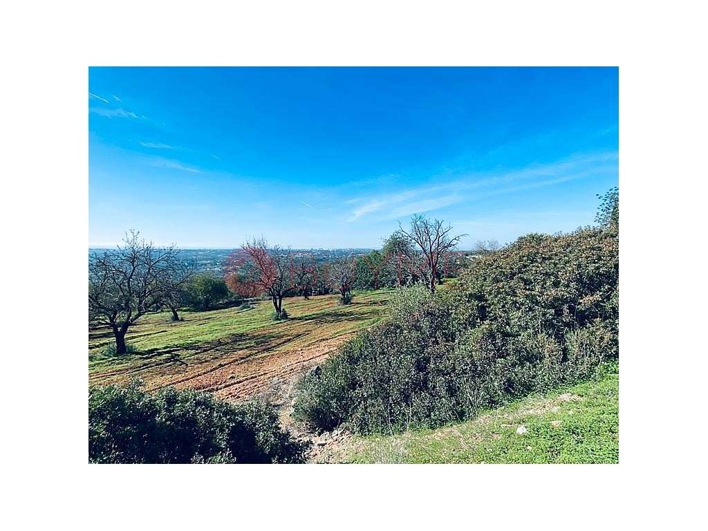 Terrenos Rústicos em Boliqueime - Malhadais, com Vista Mar - Grande imagem: 3/10