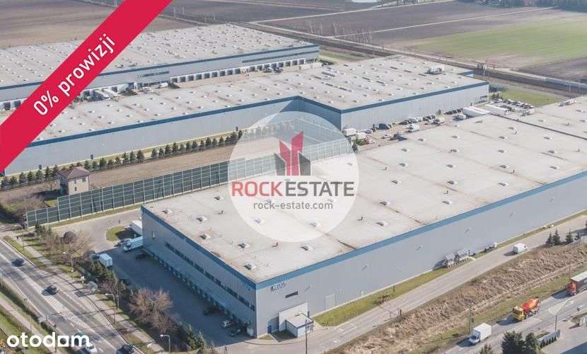 Magazyn 3100 z biurem Ożarów Mazowiecki - 0% prow. - Pełny obrazek: 4/5