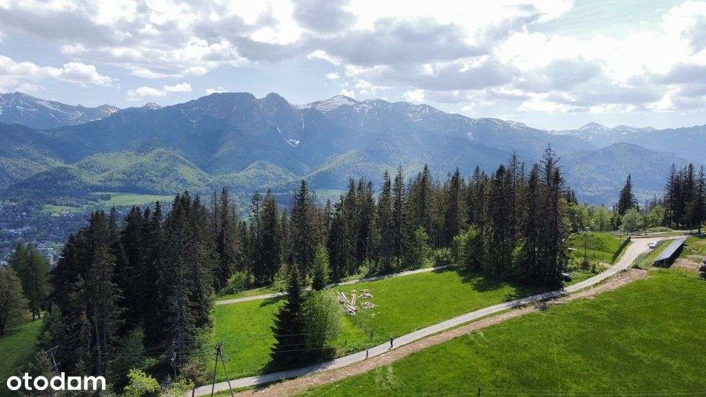 Działka rolna na Gubałówce - Zakopane - Pełny obrazek: 2/4