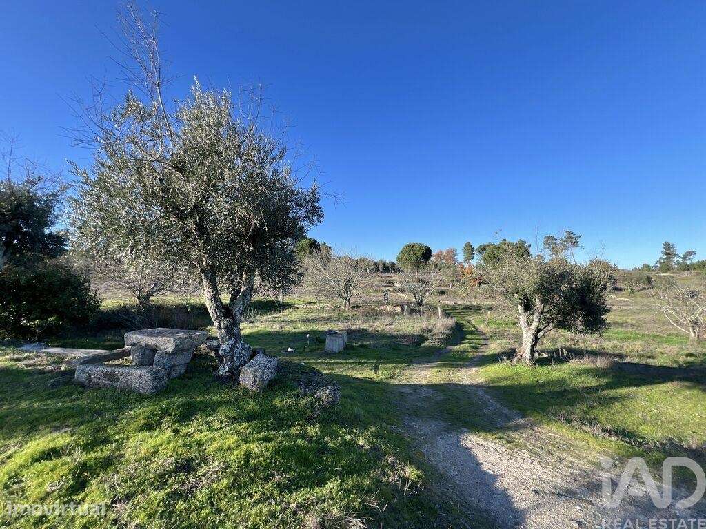 Quinta T3 em Arcozelo de 115 m2 - Grande imagem: 5/33