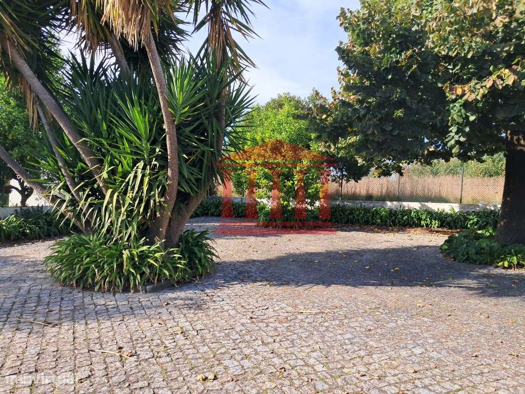 QUINTINHA COM CASA E ANEXOS - AREIAS - BARCELOS-12