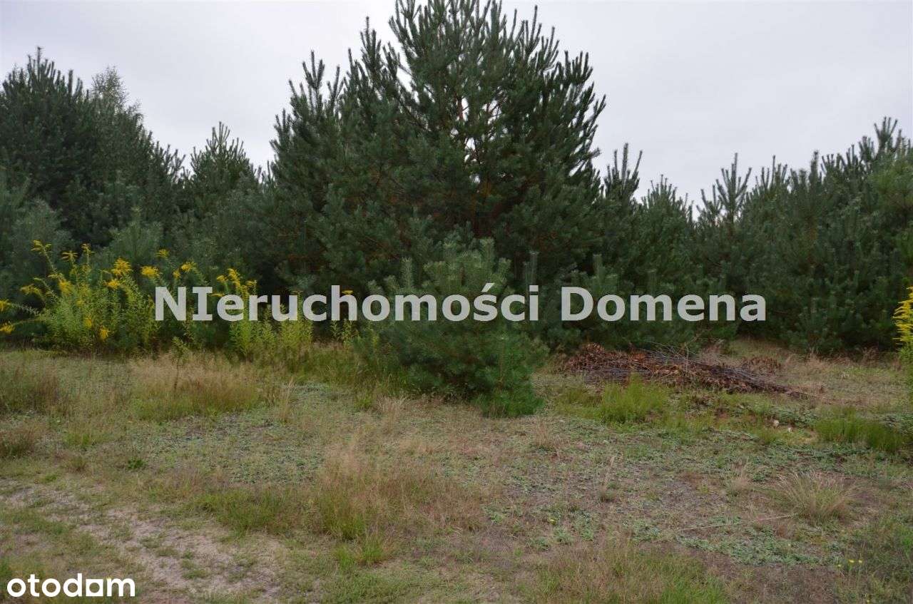 Działka rolna z możliwością zabudowy-3