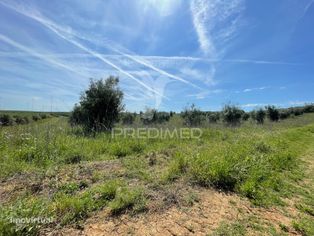 Terreno perto da Vila de Avis - Grande imagem: 4/14