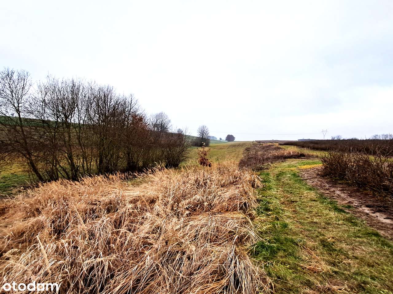 Okazja inwestycyjna – 3,5 ha gruntu z siedliskiem Baranica k. Gorzkowa - Pełny obrazek: 5/19