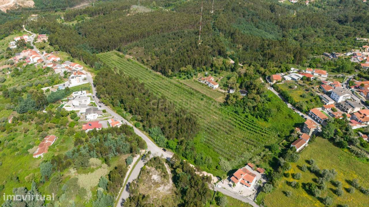 Quinta com 8 hectares com potencial para construção – Antanhol - Coimb-8