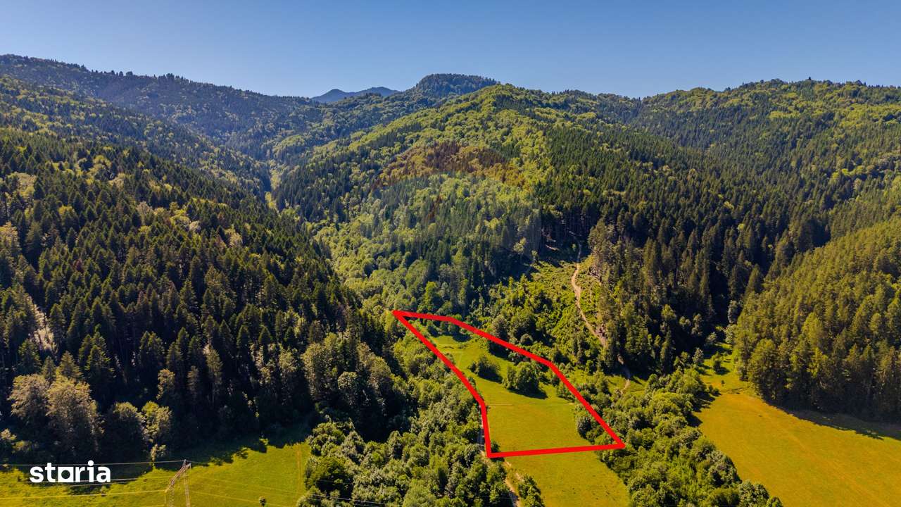 COMISION 0% Teren Brădet 7300 + 6000 mp/ Sacele /Intravilan - Imagine principală: 4/9