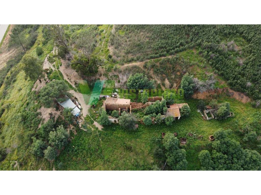 Quinta com 14 Hectares com Casa, Armazém e Duas Ruínas - Grande imagem: 5/11