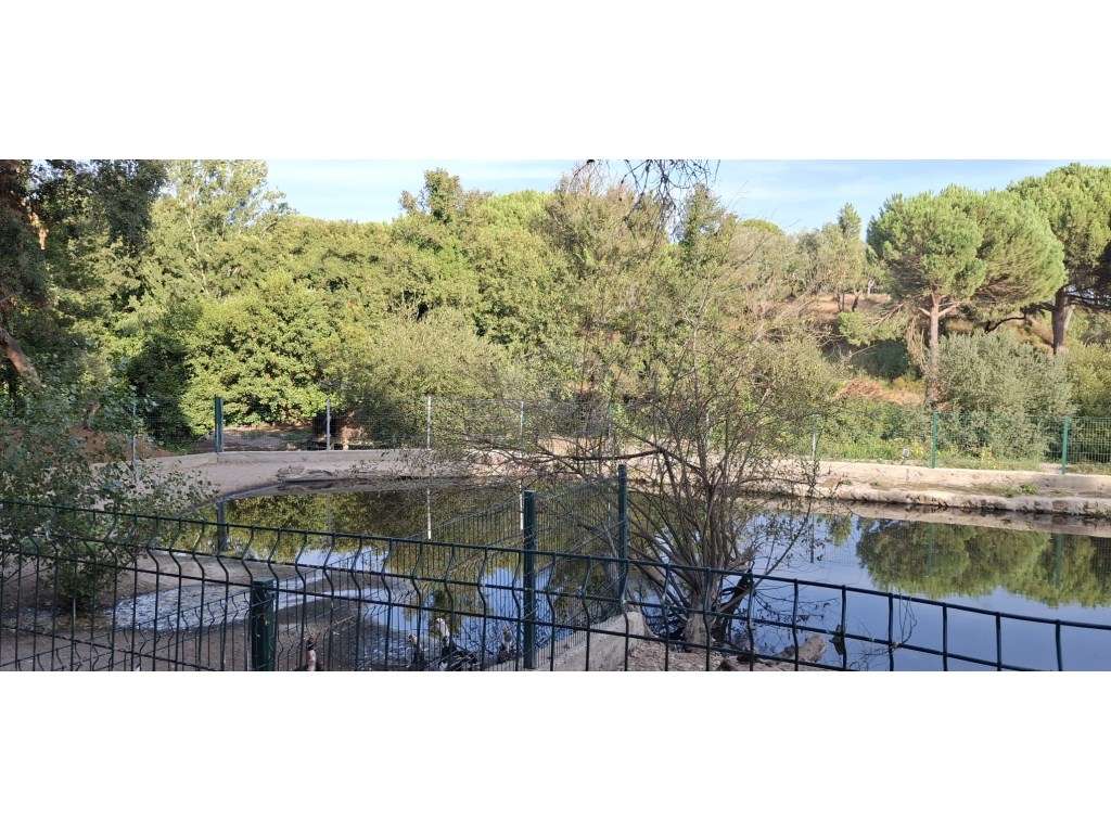 Luxuosa propriedade entre Grândola e Comporta, com 24 hectares-34