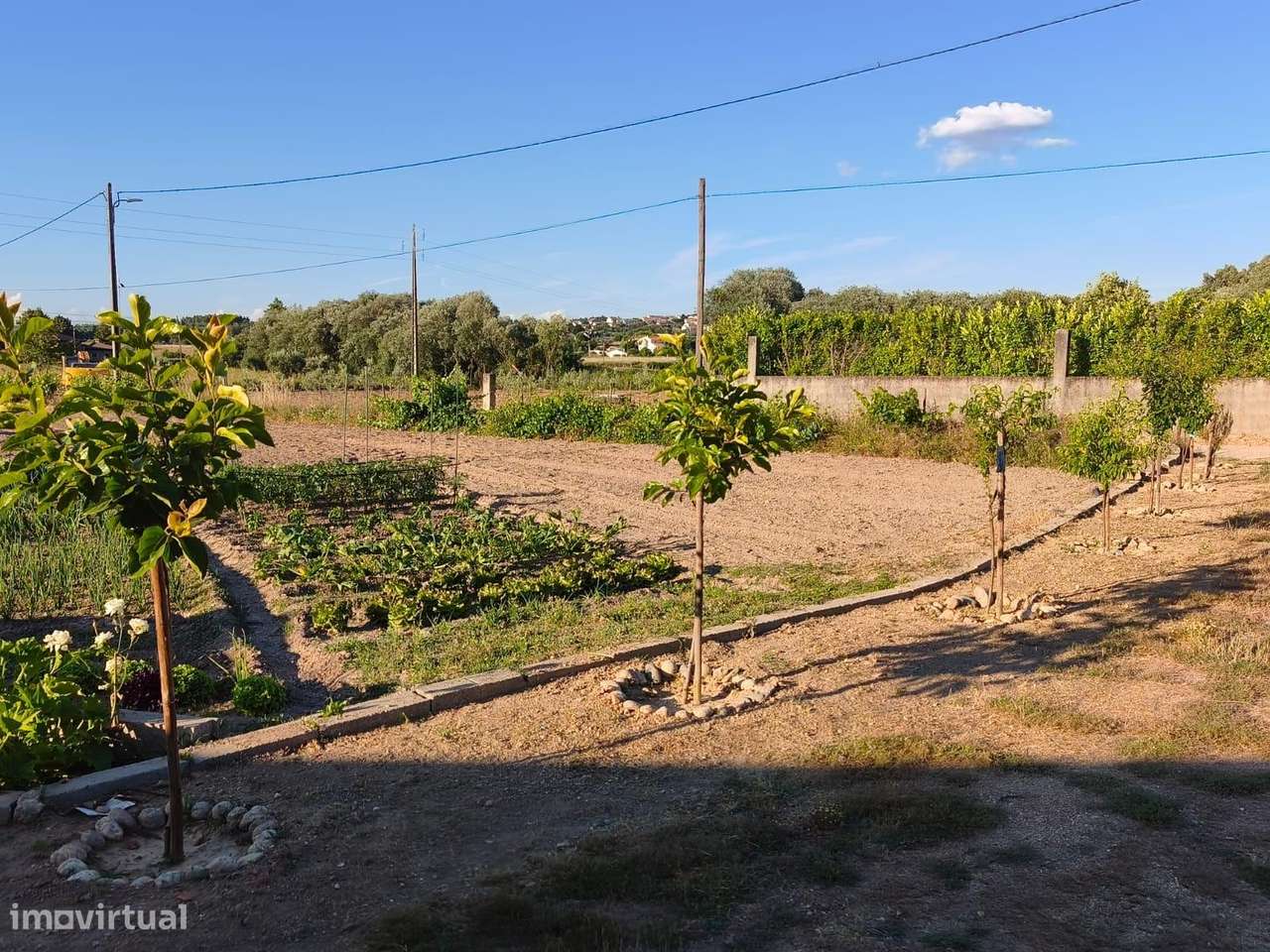 Terreno rustico em Peraboa-4