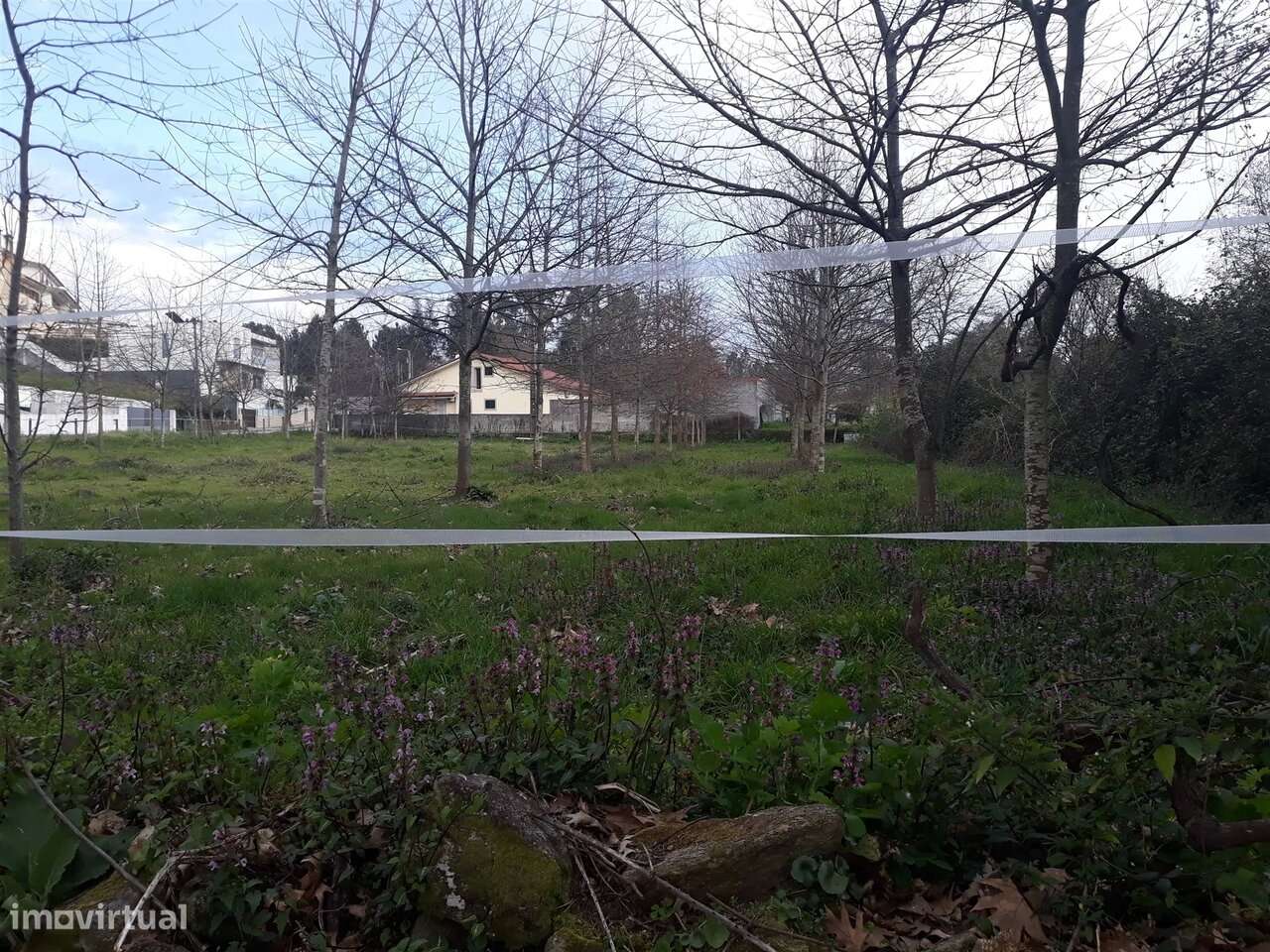 Terreno em Cesar, Oliveira de Azeméis - Grande imagem: 4/5