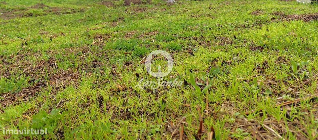 Terreno Urbano em Barcelos - Grande imagem: 3/19
