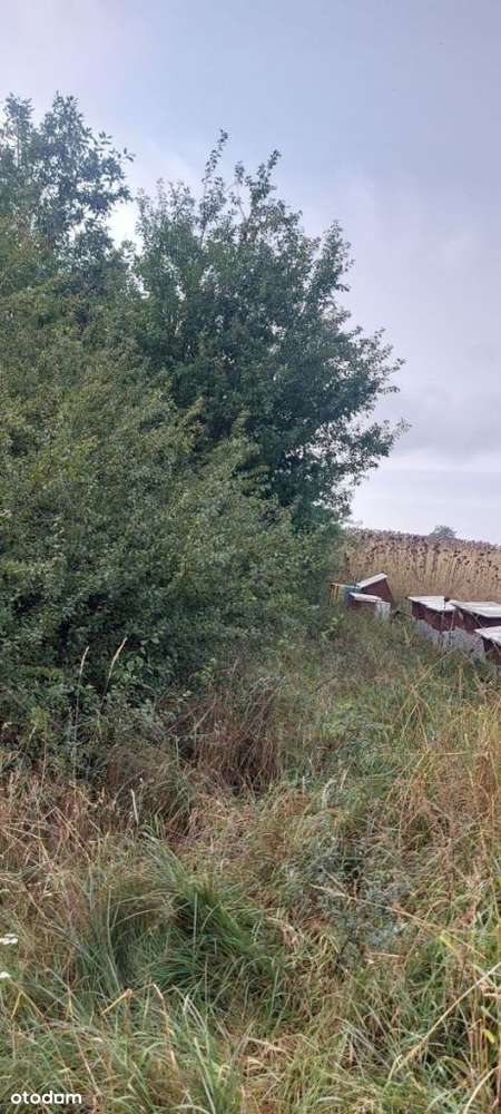 Malownicza działka rolna w pobliżu jeziora-2