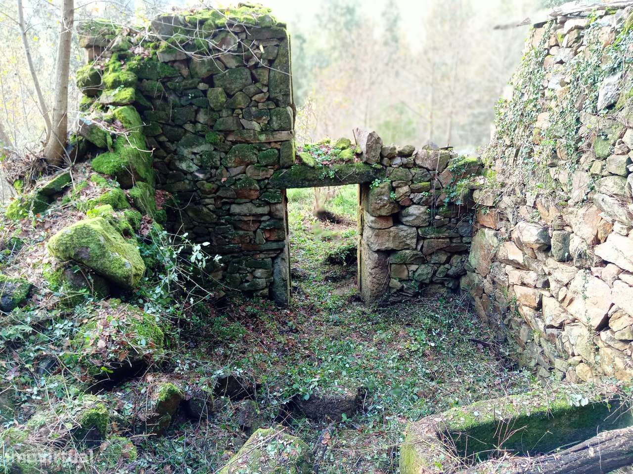 Venda de terreno rústico, com possibilidade de construção. - Grande imagem: 4/10