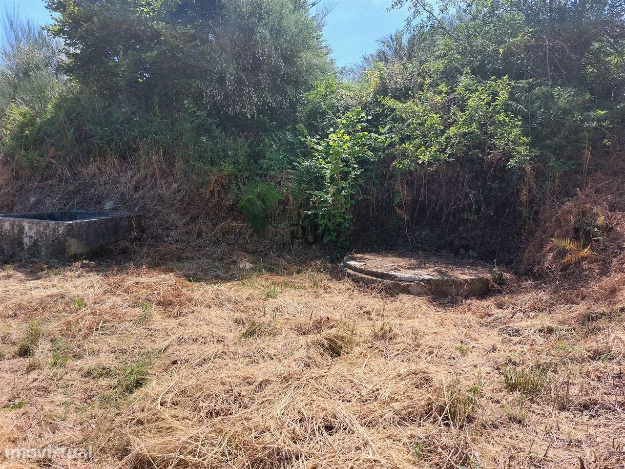 Terreno Rústico em Fornos de Algodres - Grande imagem: 5/11