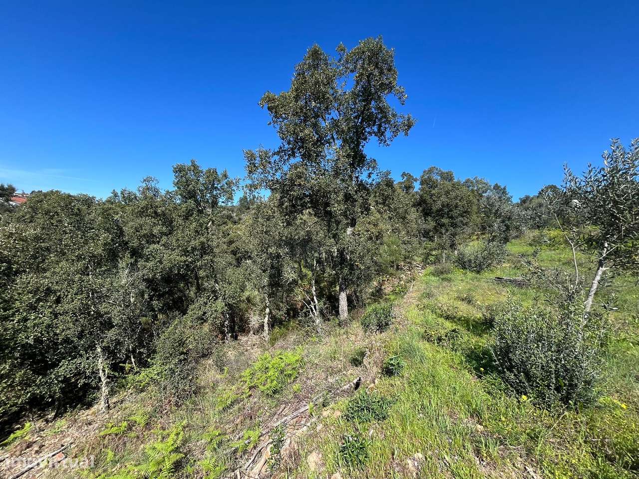 Moradia para Restaurar T3 Venda em Santiago de Montalegre,Sardoal - Grande imagem: 5/10