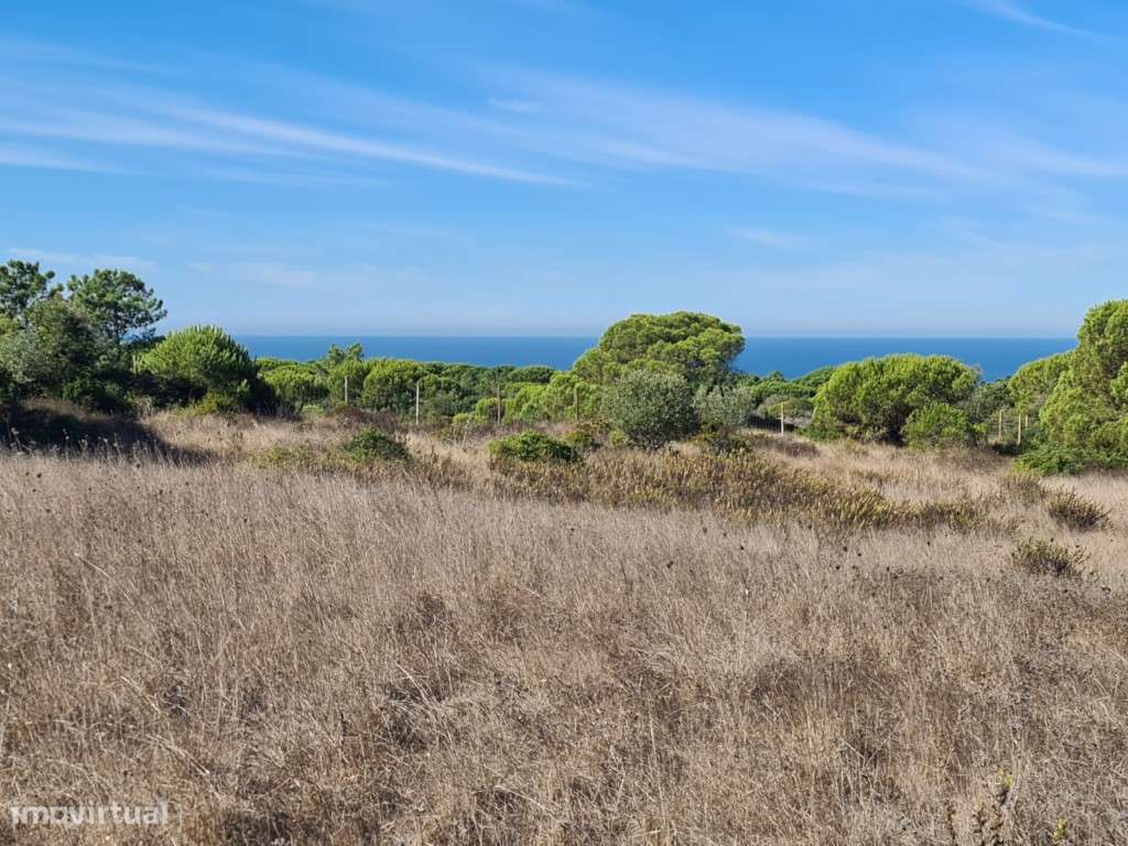 Terreno com 17000 m2 em sitio Privilegiado - Grande imagem: 5/13