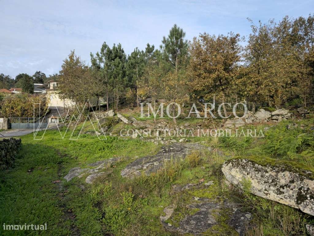 Terreno, Olival de Meanhos-1