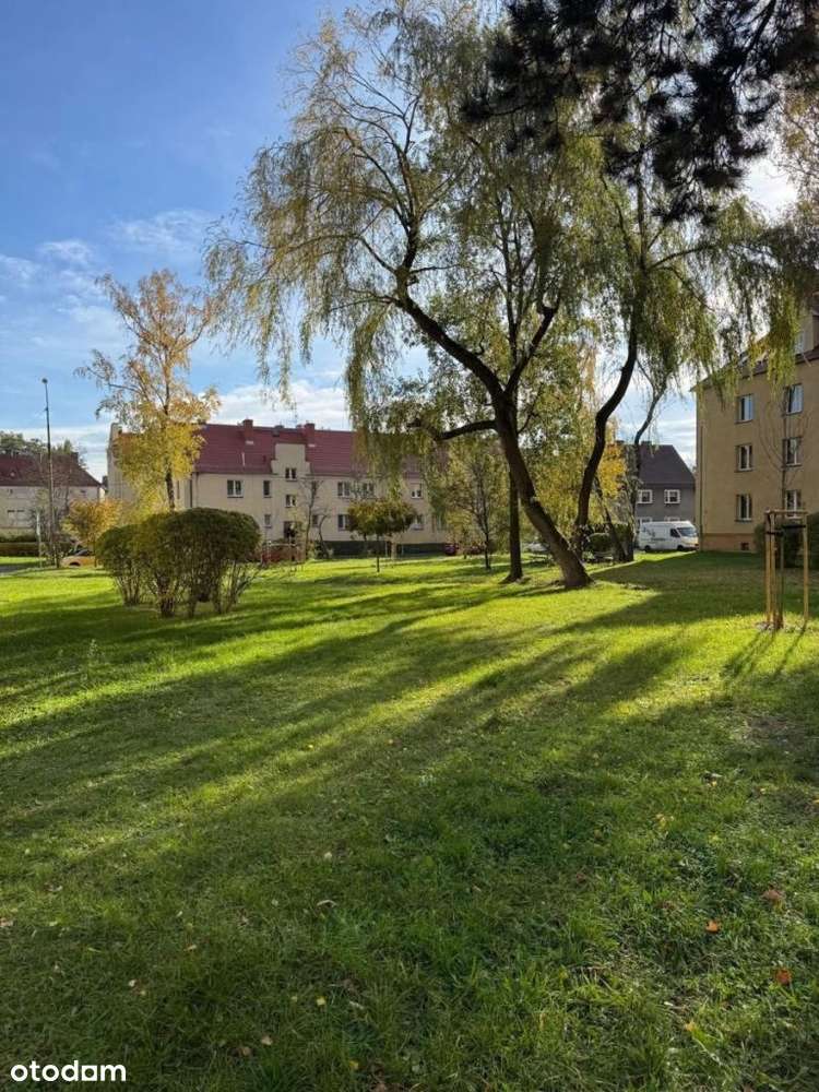 Tuż przy parku !-15