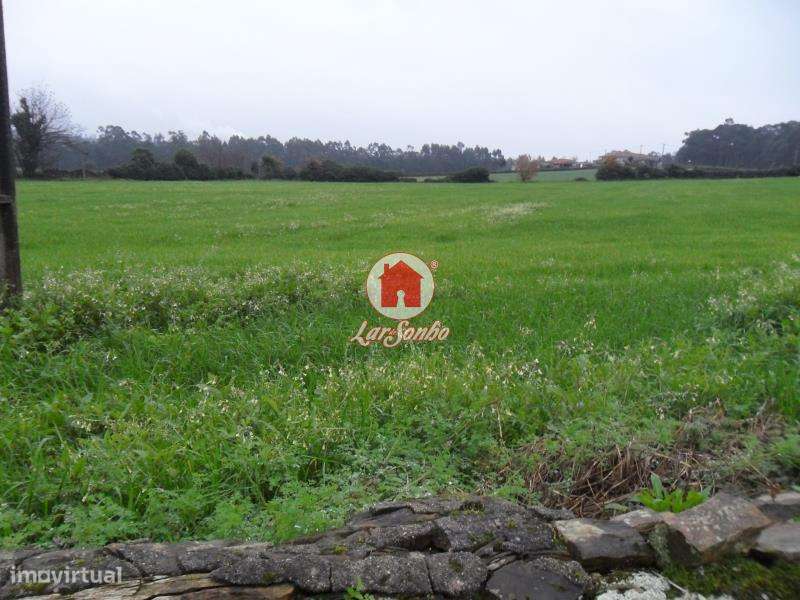 Terreno de construção com 8.860m2 em Balazar, Póvoa de Varzim - Grande imagem: 2/6