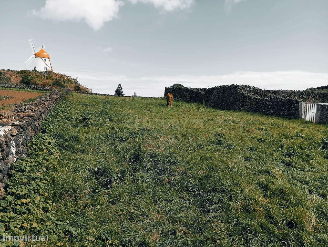 Terreno com 1441 m2 no coração da vila de Santa Cruz da Graciosa - Grande imagem: 3/5