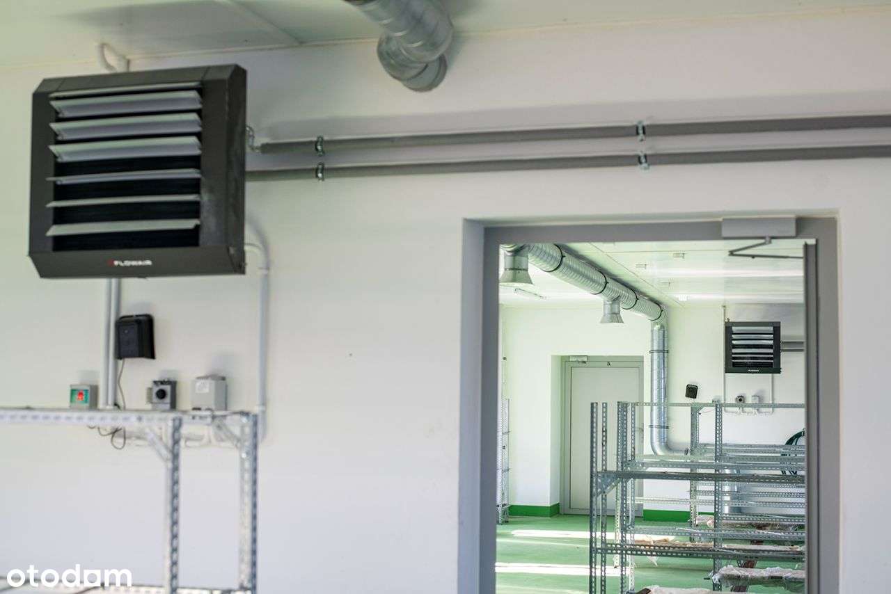 Dom z dużą działką oraz halą produkcyjną - Pełny obrazek: 4/20