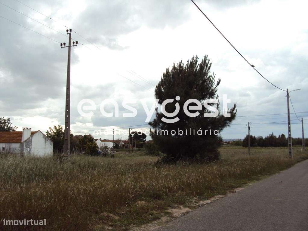 Moradia para recuperar com Terreno de 1400m2 em Fazendas de Almeirim - Grande imagem: 4/16