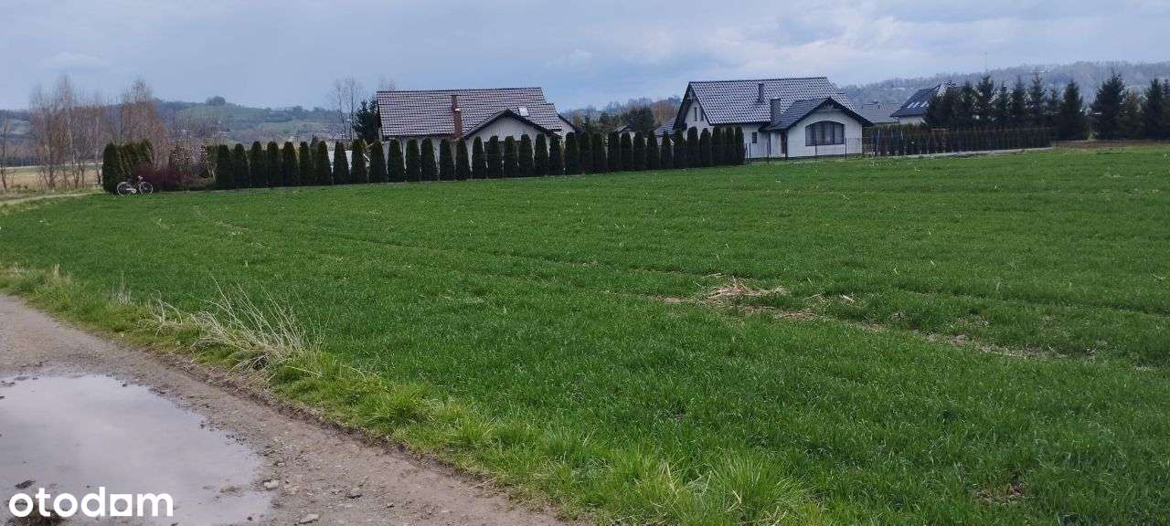 Działka budowlana i inwestycyjna koło Bochni - Pełny obrazek: 1/7