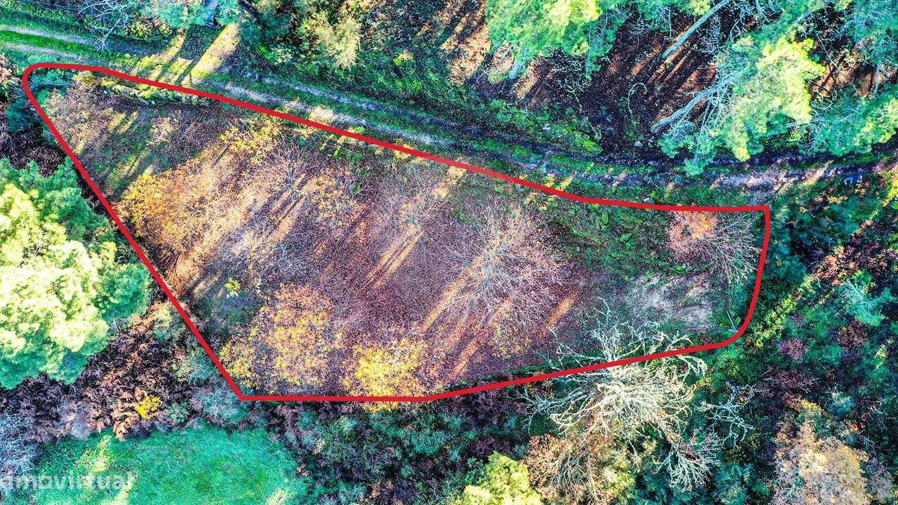 Terreno  para venda - Grande imagem: 4/7