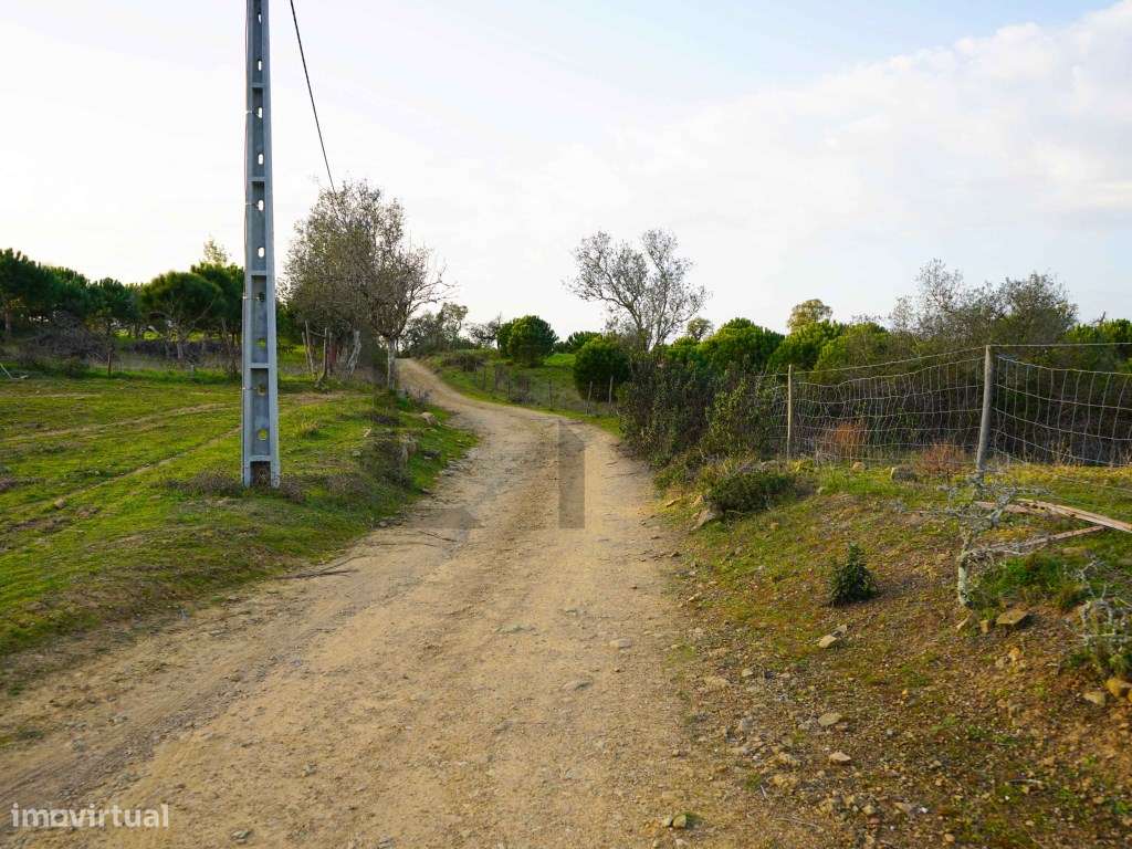 Terreno com 2,15 Hectares com Ruina na Serra de Grândola / Melides-15
