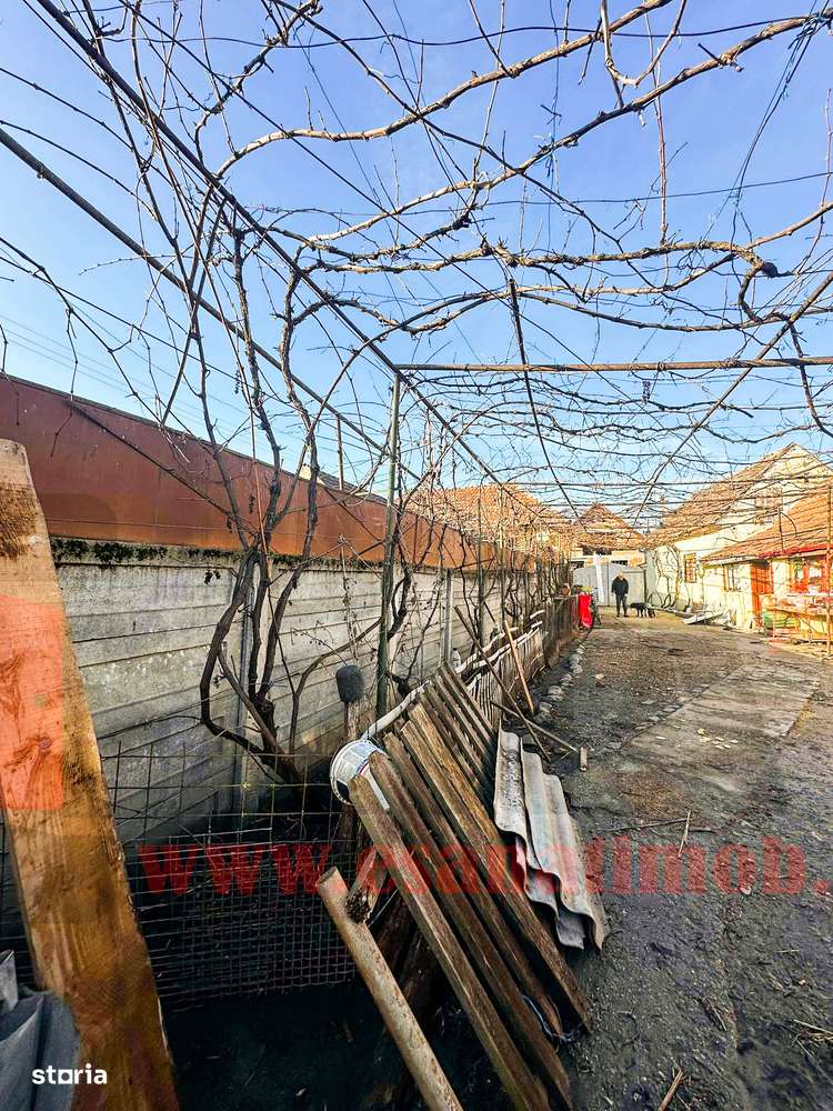 Casa in Bradu | 700 mp Teren | Acces Asfalt | Oportunitate Excelenta-7