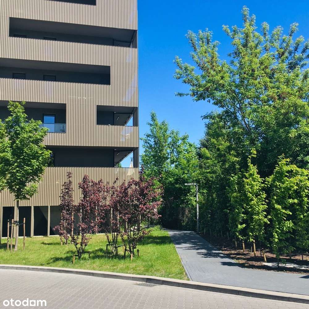 Słoneczny pokój na osiedlu Botaniczna - Pełny obrazek: 5/11