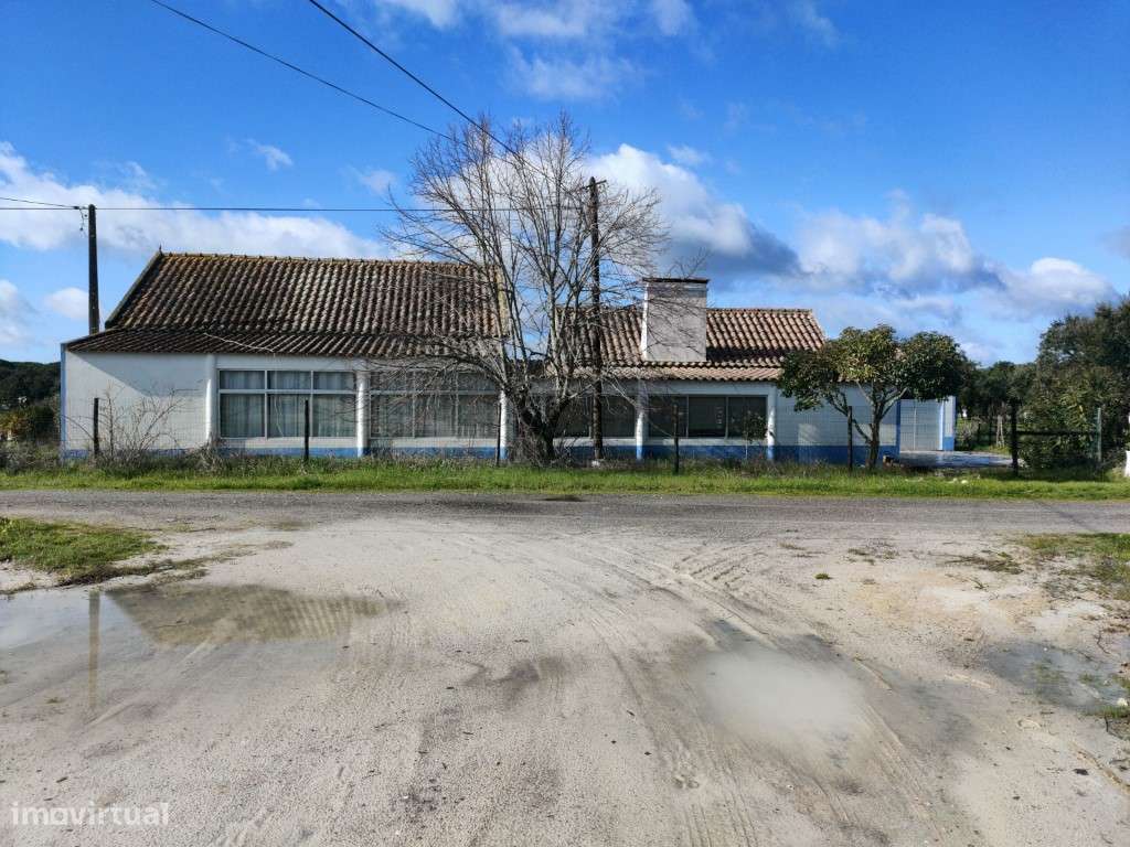 Monte com moradia para renovar em Grândola-9