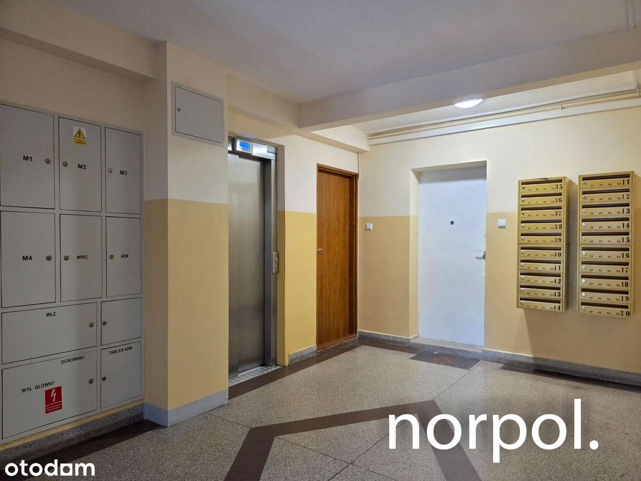 3 niezależne pokoje, osobna kuchnia, łazienka, toaleta, balkon-19