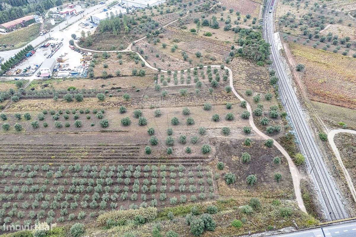 Industrial  para venda - Grande imagem: 5/7