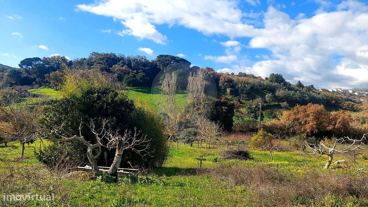 Terreno  para venda-7