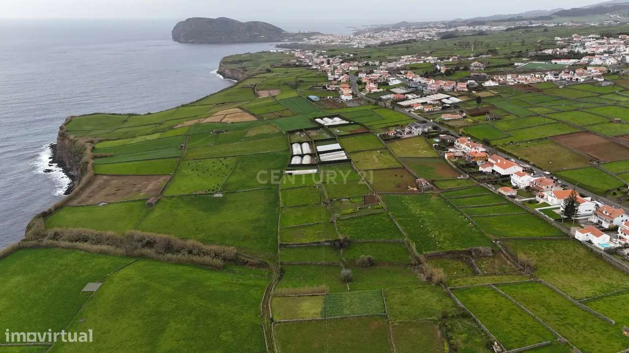 Terreno rústico na freguesia da Ribeirinha - Grande imagem: 4/4