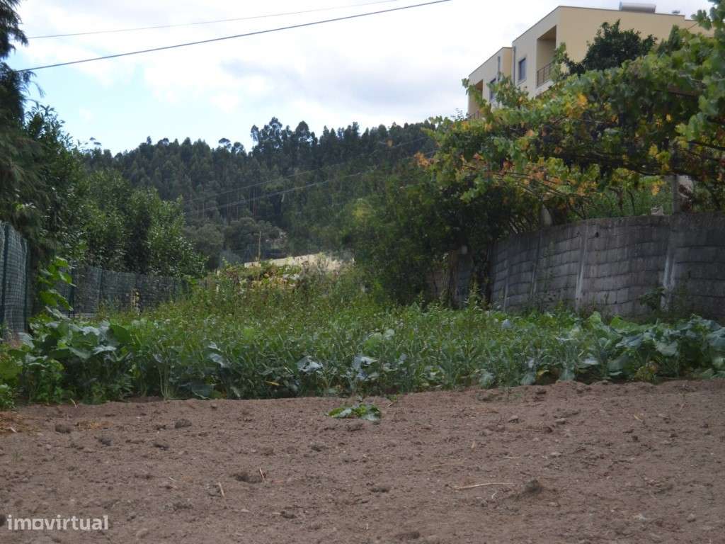 Moradia T3 c/ espaço exterior, nas Termas de São Vicente, Penafiel - Grande imagem: 5/13