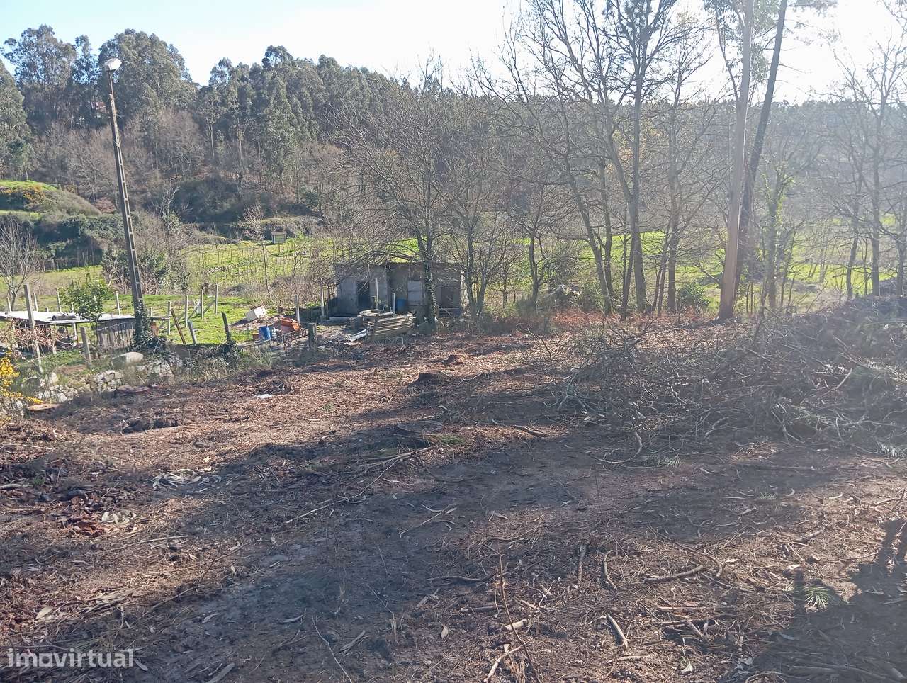 Terreno com 1 hectare em Vinhós, Fafe - Grande imagem: 4/16