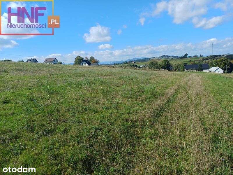 działka budowlano-rolna 23ar Koniuszowa - Pełny obrazek: 5/20